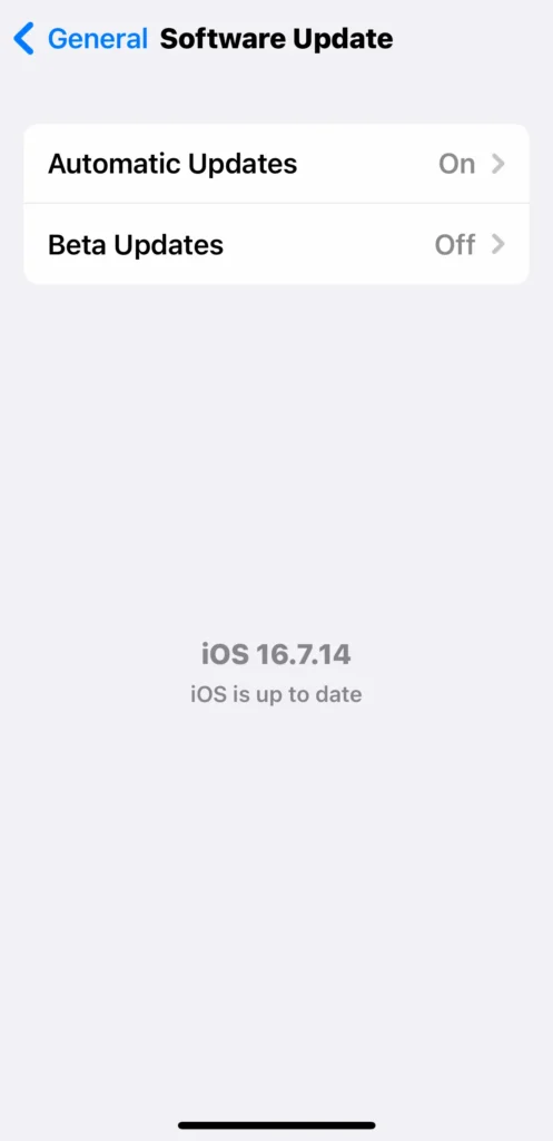 iPhone X Software Update screen showing current iOS version – Perspective Gadgets